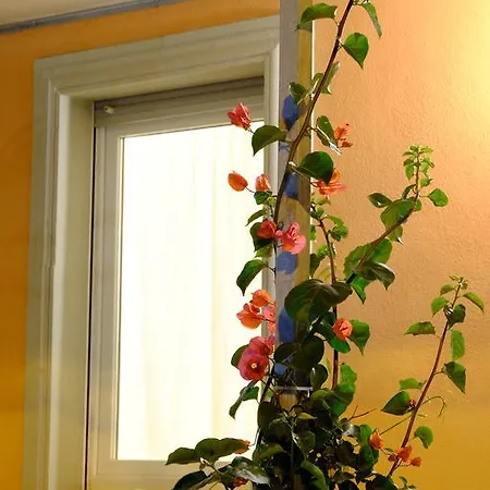 Doria Valledoria (Sardinia)