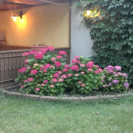 Doria Apartmán Valledoria (Sardinia)