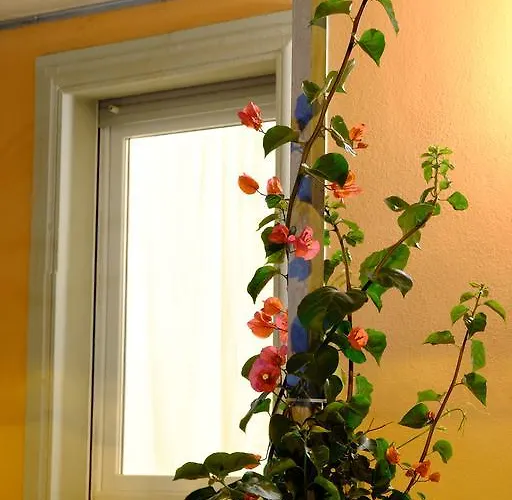 Doria Valledoria (Sardinia)